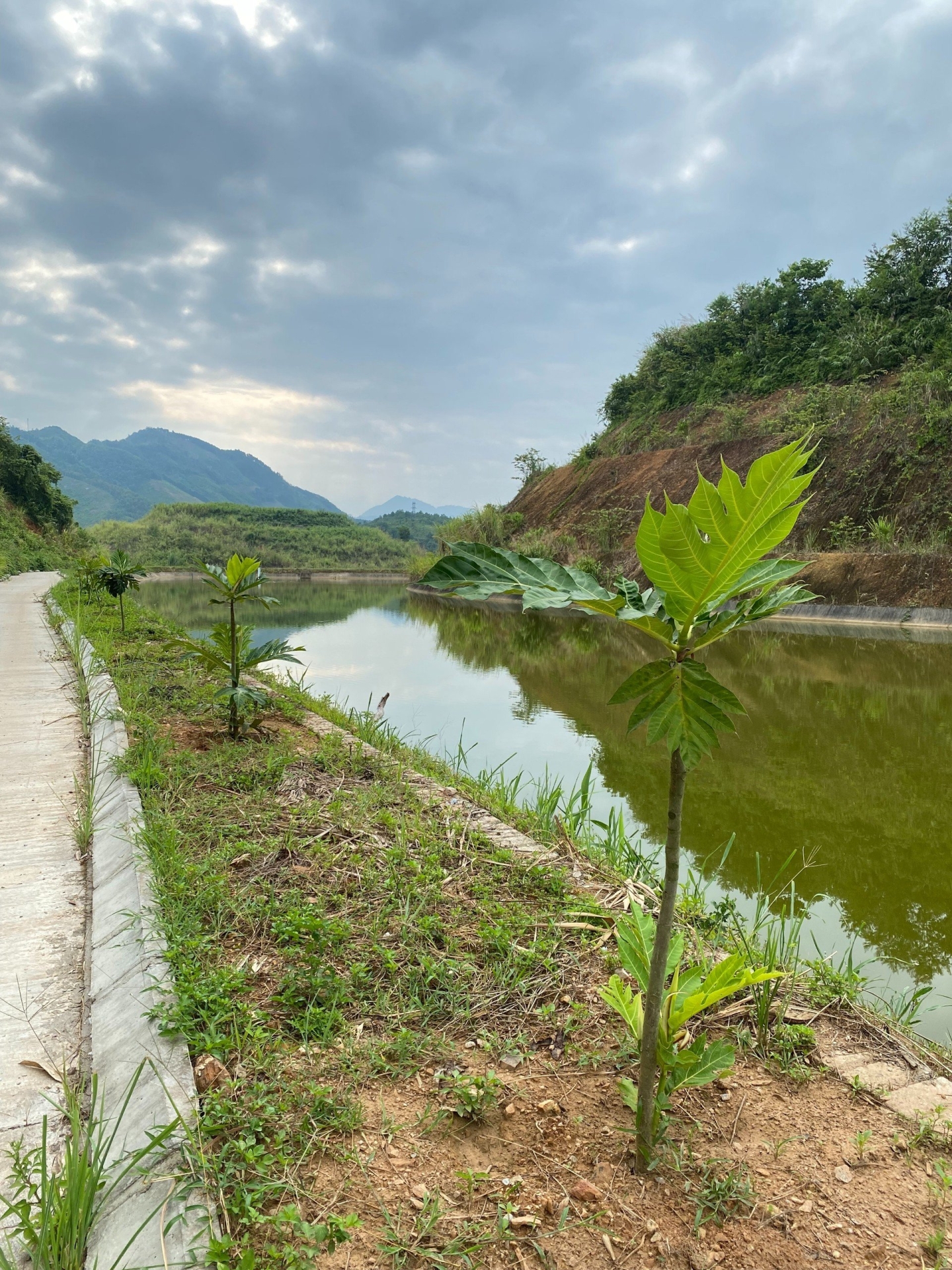 Trải nghiệm khám phá lòng hồ thủy điện TTA Chiêm Hóa