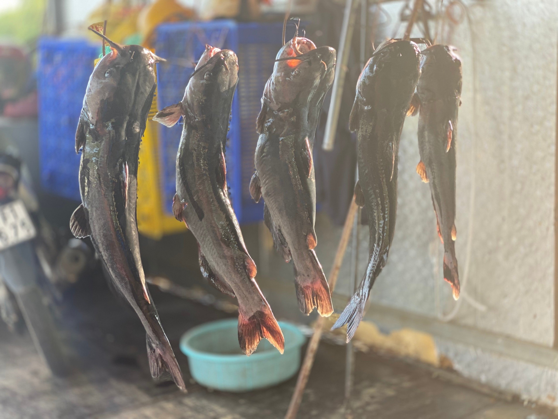 Trải nghiệm khám phá lòng hồ thủy điện TTA Chiêm Hóa