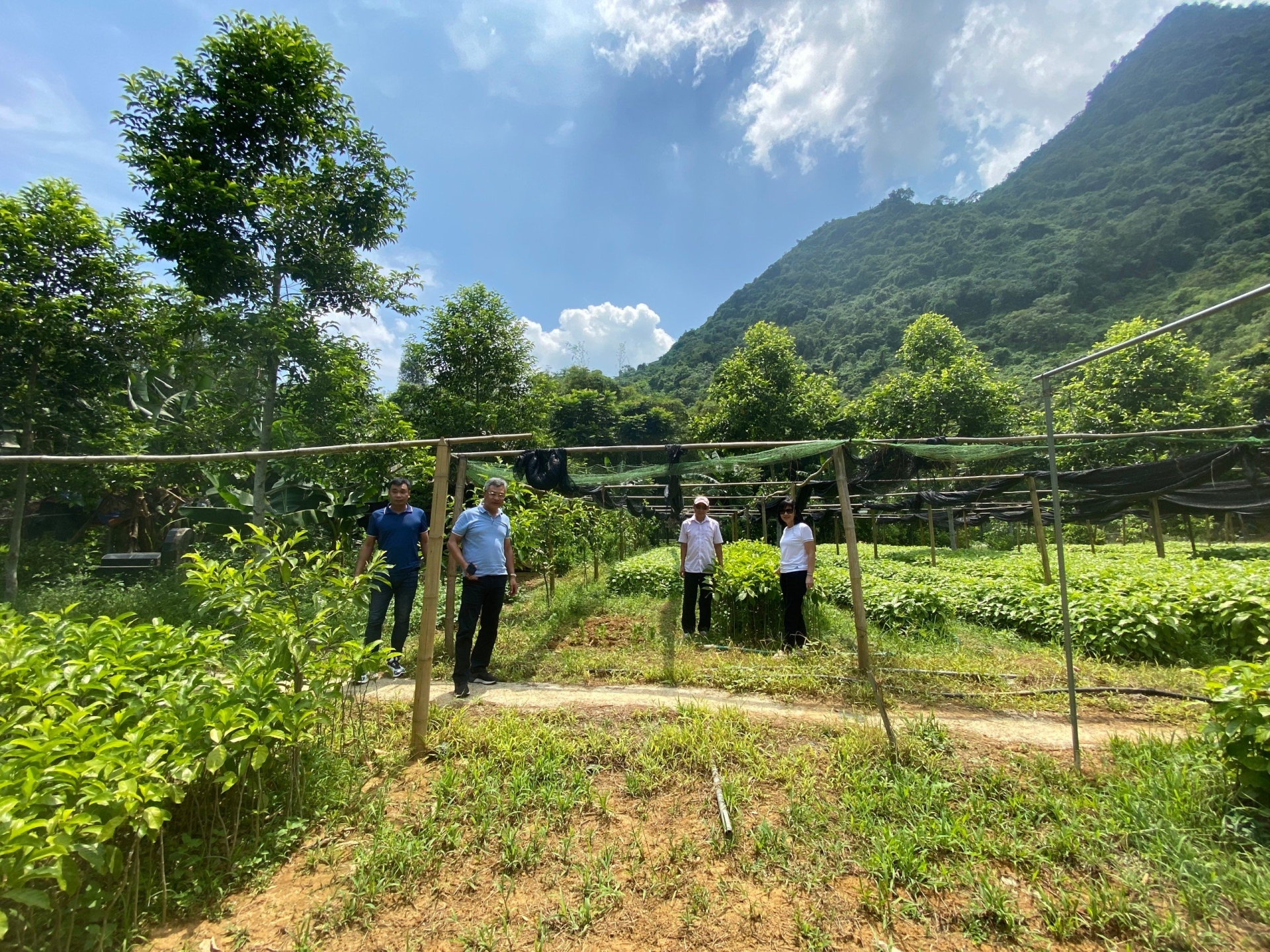 Trang Trại cây trồng của Thành An T&T