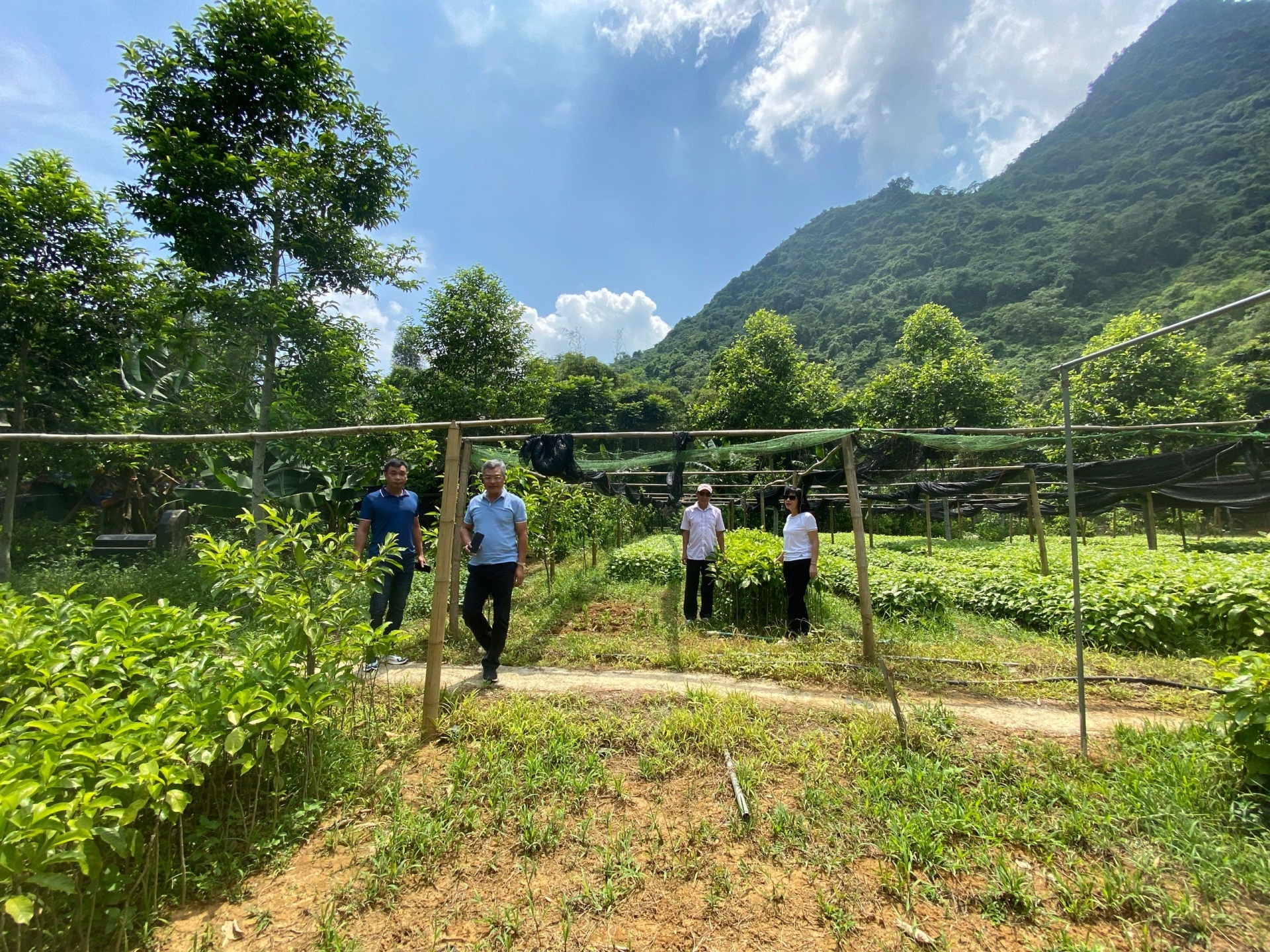 Trang Trại cây trồng của Thành An T&T