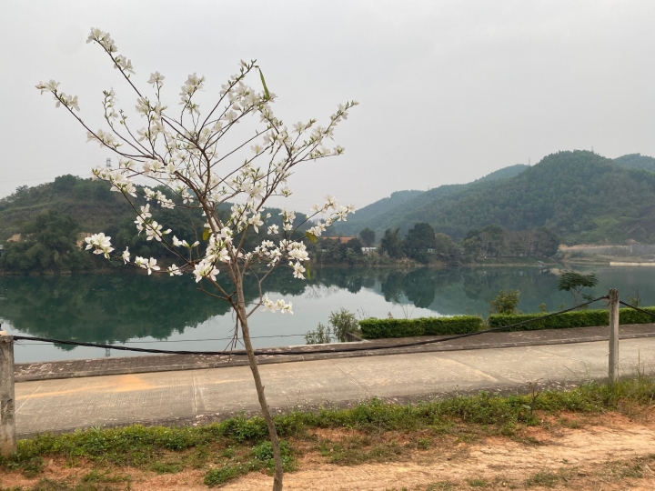 Cảnh đẹp núi rừng Thủy điện TTA Chiêm Hóa 02